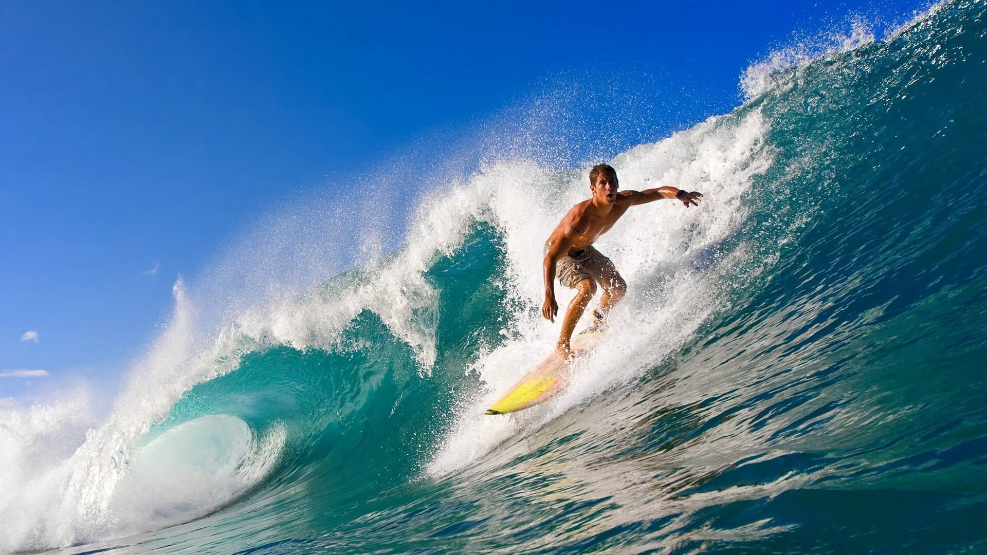 中国游泳队闪耀国际泳联世锦赛,新星崛起老将稳如磐石